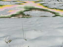 Vennfrühling
